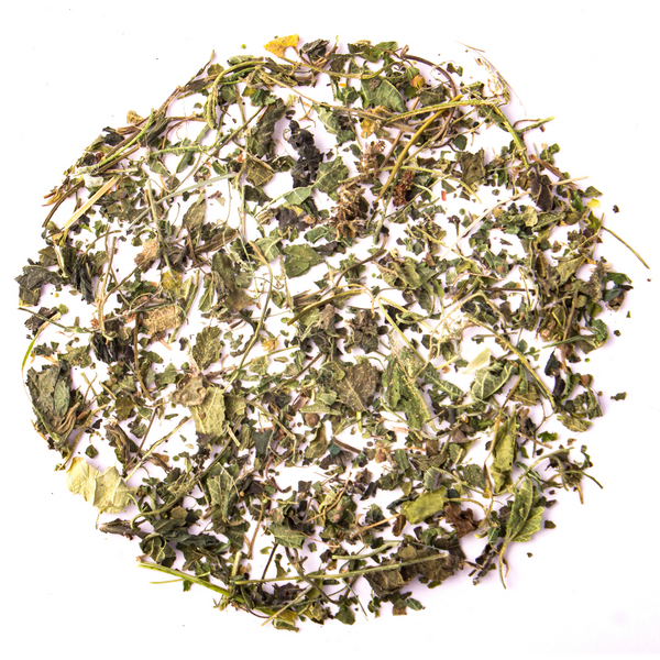 Pure Nettle Leaf Herbal Tea